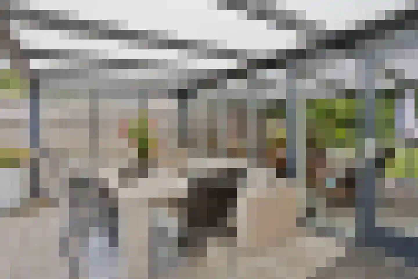 Betuwe 54 Assen thumbnail 4