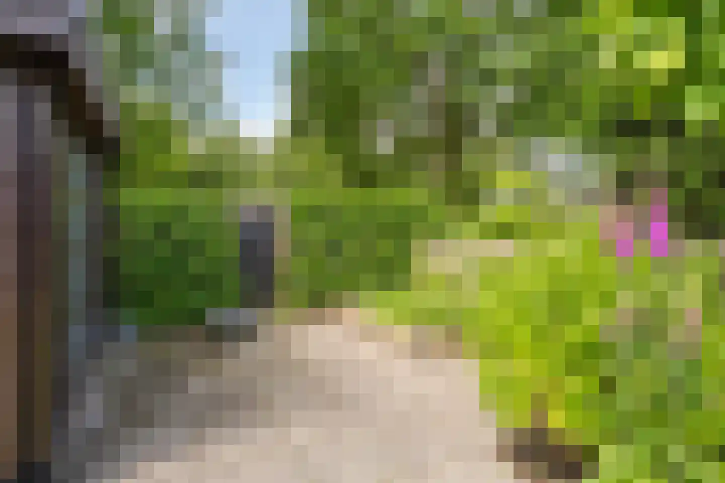 Betuwe 54 Assen thumbnail 40