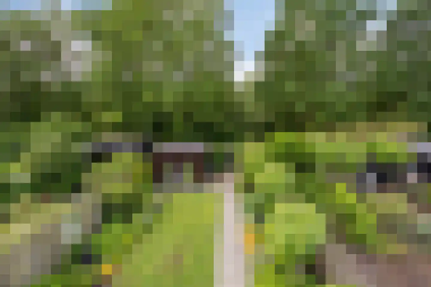 Betuwe 54 Assen thumbnail 41