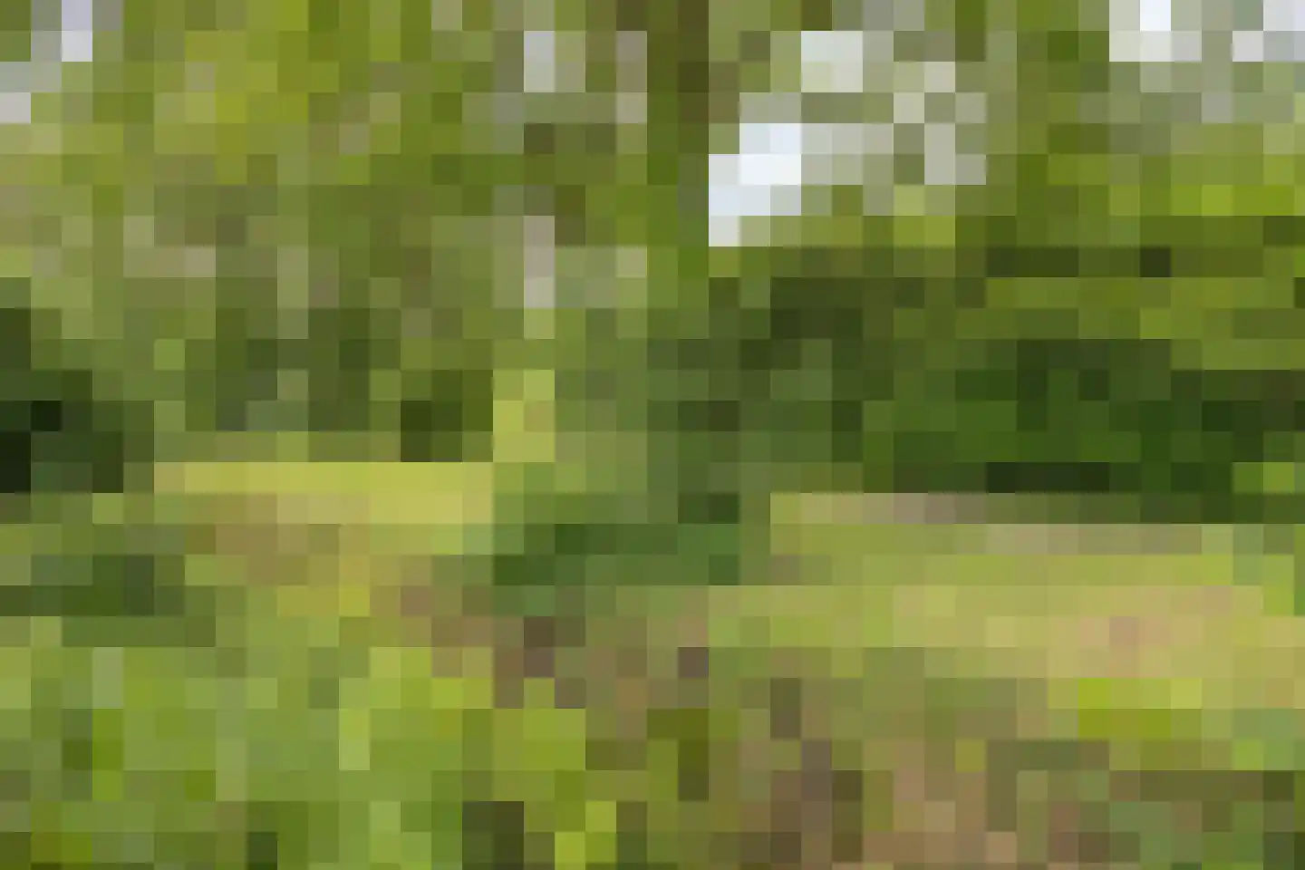 Betuwe 54 Assen thumbnail 42