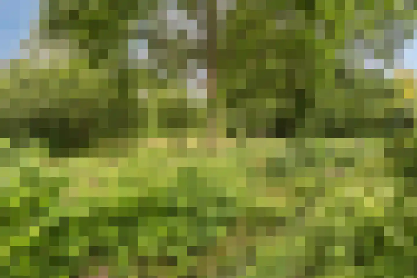 Betuwe 54 Assen thumbnail 43