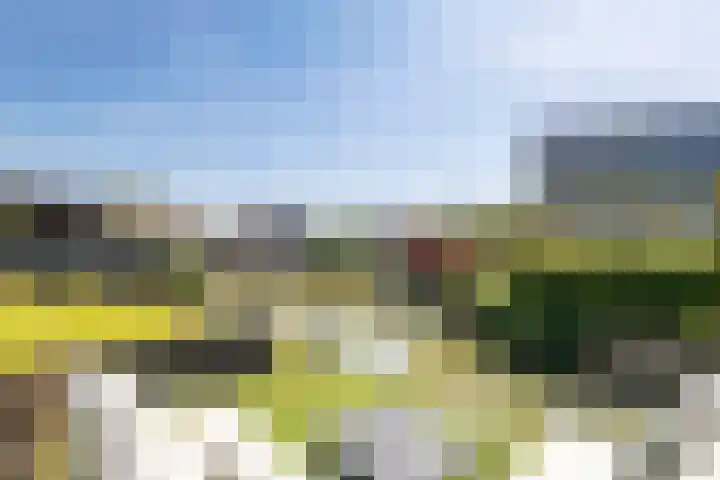 Betuwe Singel 15 Lienden thumbnail 10
