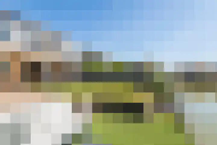 Betuwe Singel 15 Lienden thumbnail 11