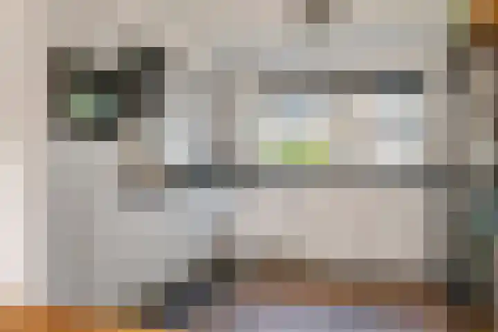Betuwe Singel 15 Lienden thumbnail 25