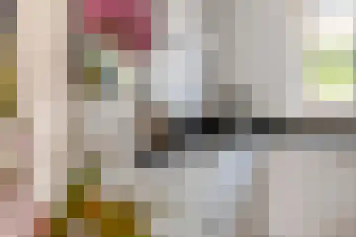 Betuwe Singel 15 Lienden thumbnail 26