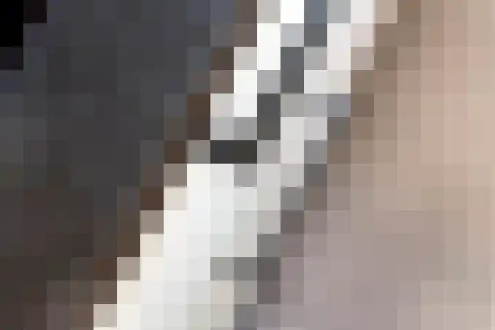 Betuwe Singel 15 Lienden thumbnail 27
