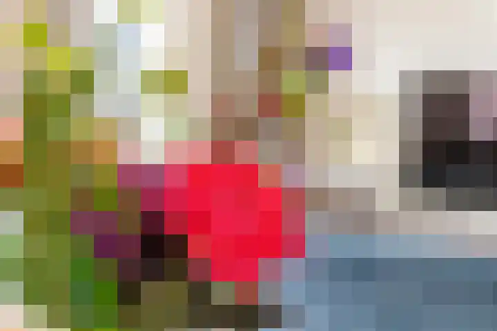Betuwe Singel 15 Lienden thumbnail 31