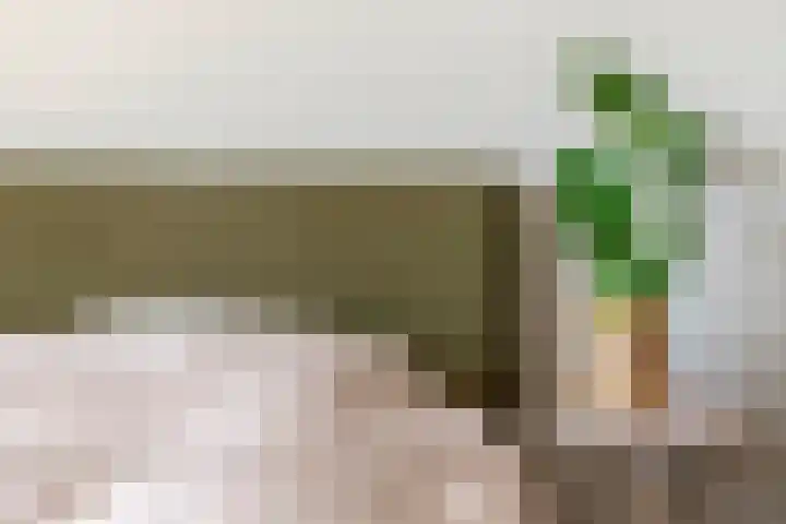 Betuwe Singel 15 Lienden thumbnail 36