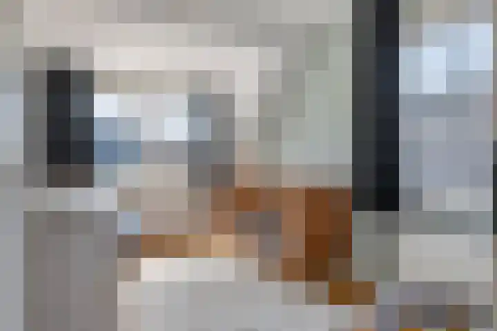 Betuwe Singel 15 Lienden thumbnail 37