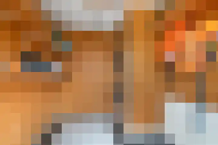 Betuwe Singel 15 Lienden thumbnail 44
