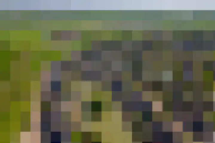 Betuwe Singel 15 Lienden thumbnail 47