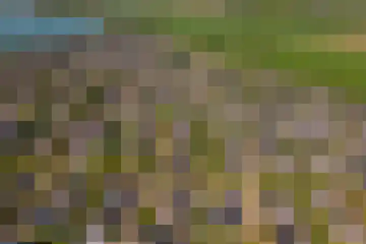 Betuwe Singel 15 Lienden thumbnail 49