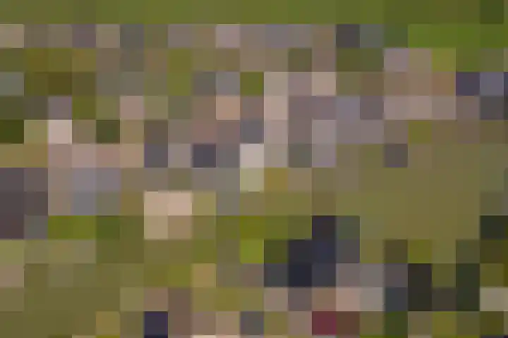 Betuwe Singel 15 Lienden thumbnail 51