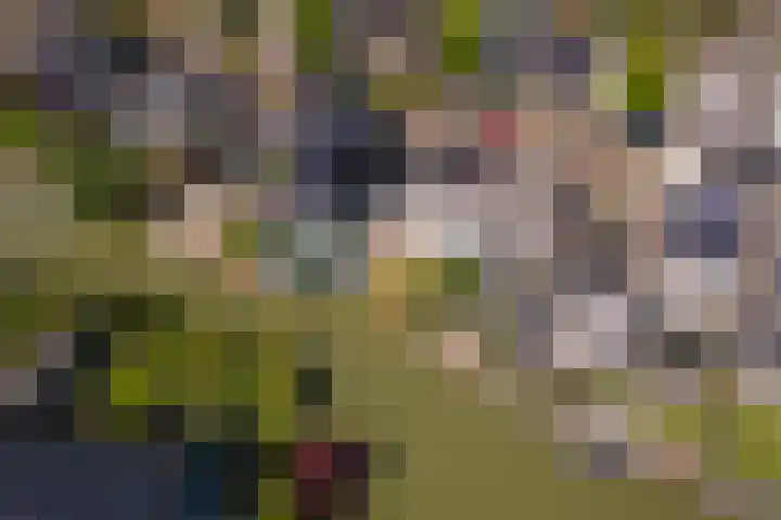 Betuwe Singel 15 Lienden thumbnail 52