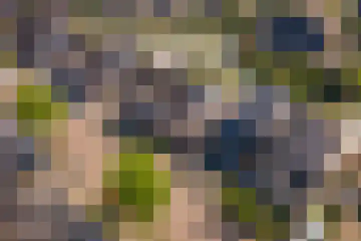 Betuwe Singel 15 Lienden thumbnail 53