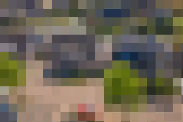 Betuwe Singel 15 Lienden thumbnail 54