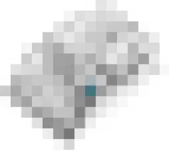 Betuwe Singel 15 Lienden thumbnail 59