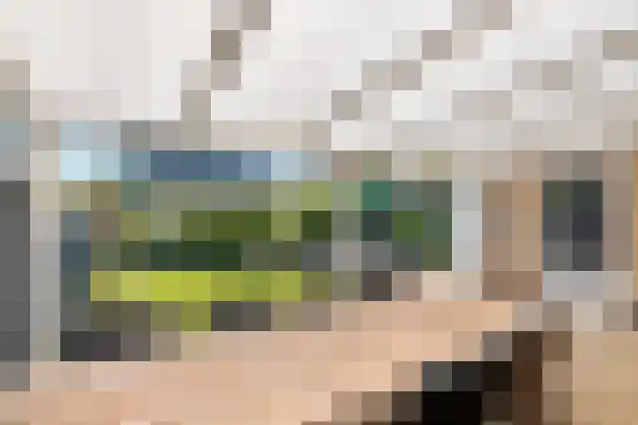 Betuwe Singel 15 Lienden thumbnail 6