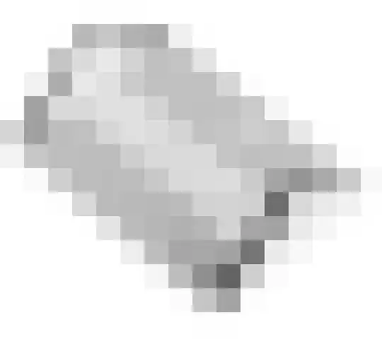 Betuwe Singel 15 Lienden thumbnail 61