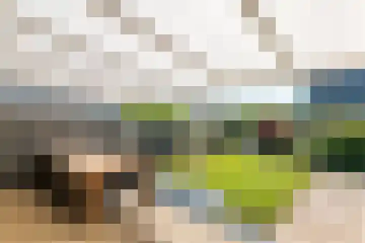 Betuwe Singel 15 Lienden thumbnail 7