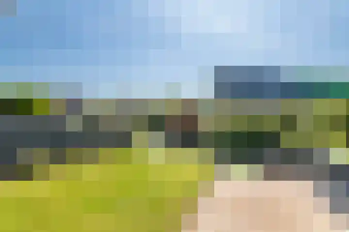 Betuwe Singel 15 Lienden thumbnail 8