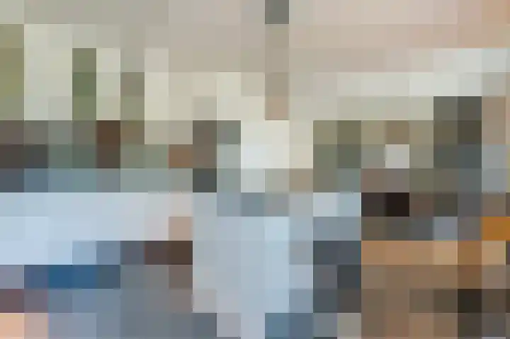 Betuwe Singel 20 Lienden thumbnail 17
