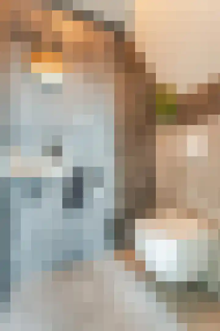 Betuwe Singel 20 Lienden thumbnail 18