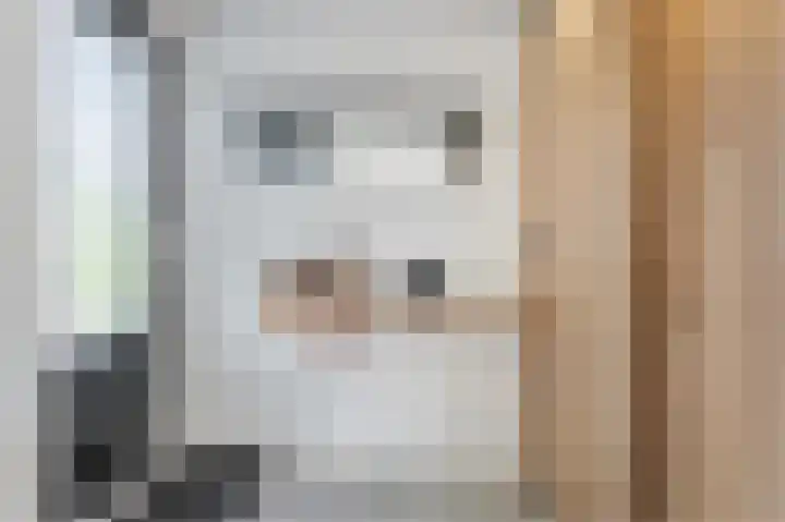 Betuwe Singel 20 Lienden thumbnail 19