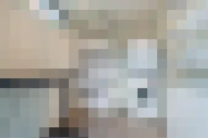 Betuwe Singel 20 Lienden thumbnail 24
