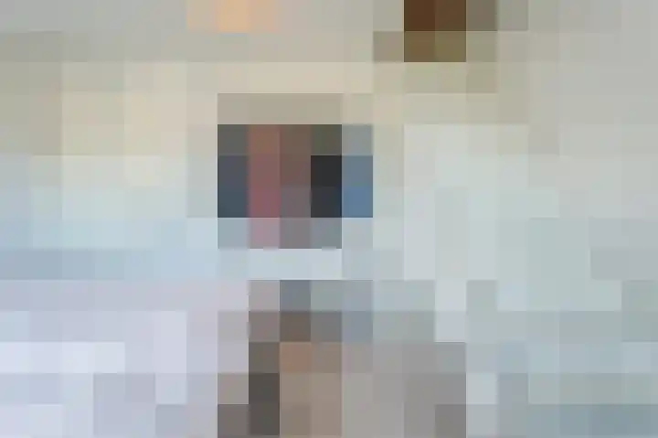 Betuwe Singel 20 Lienden thumbnail 29