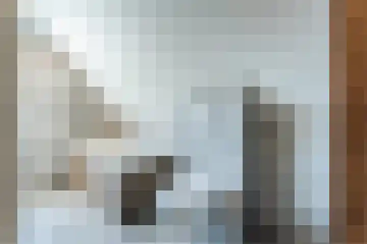 Betuwe Singel 20 Lienden thumbnail 32