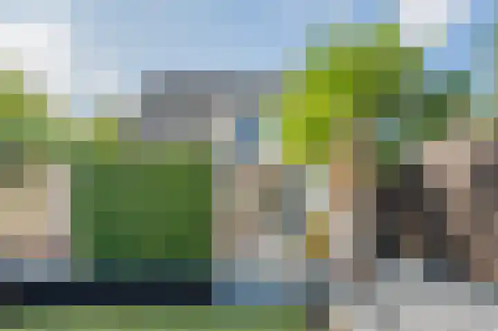 Betuwe Singel 20 Lienden thumbnail 42