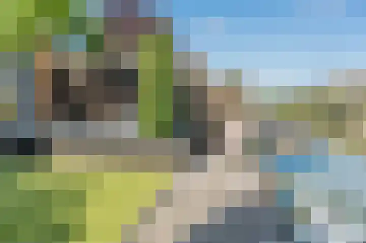 Betuwe Singel 20 Lienden thumbnail 5
