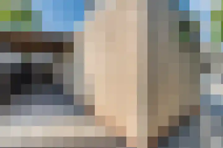 Betuwe Singel 20 Lienden thumbnail 9