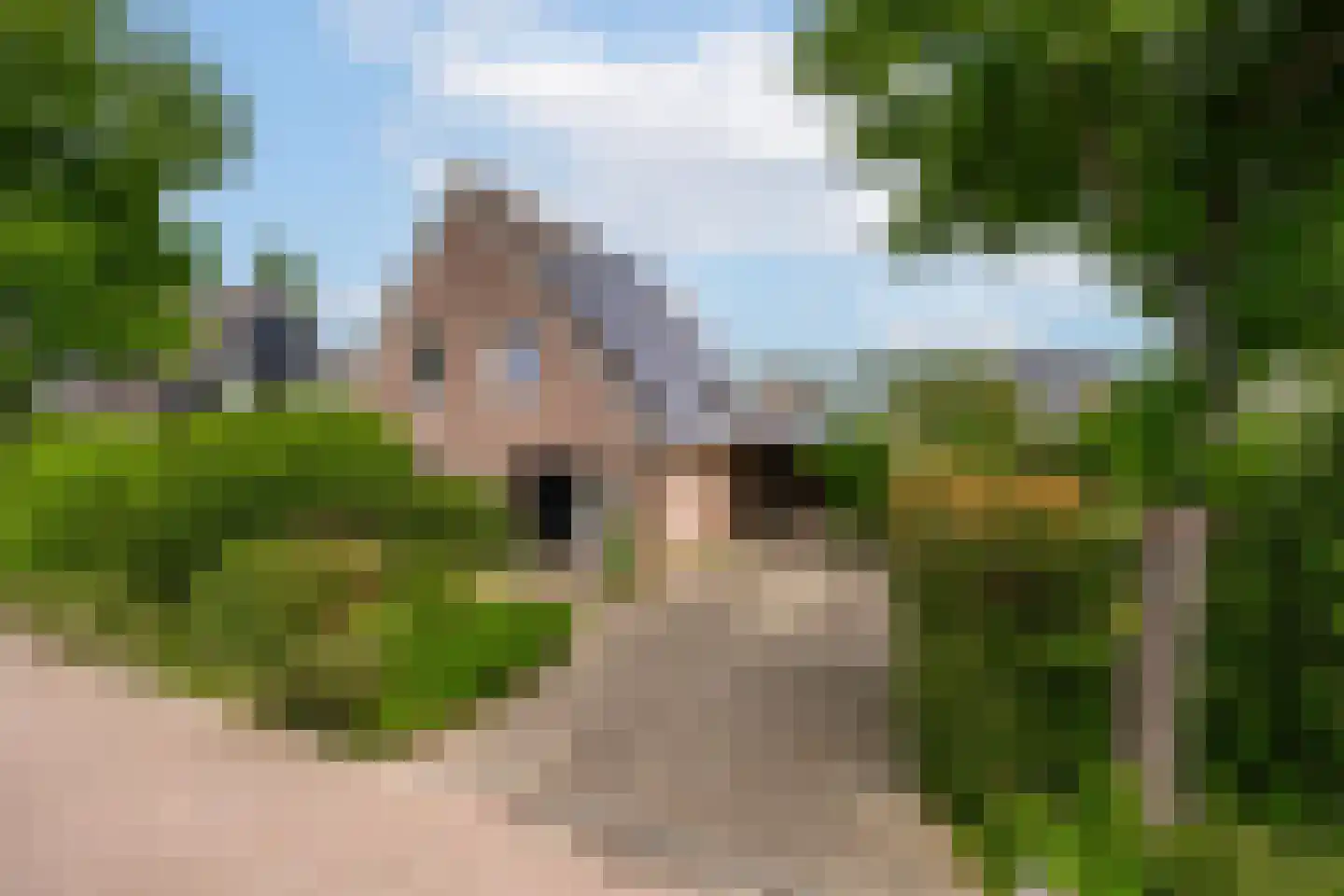 Betuwe Singel 28 Lienden
