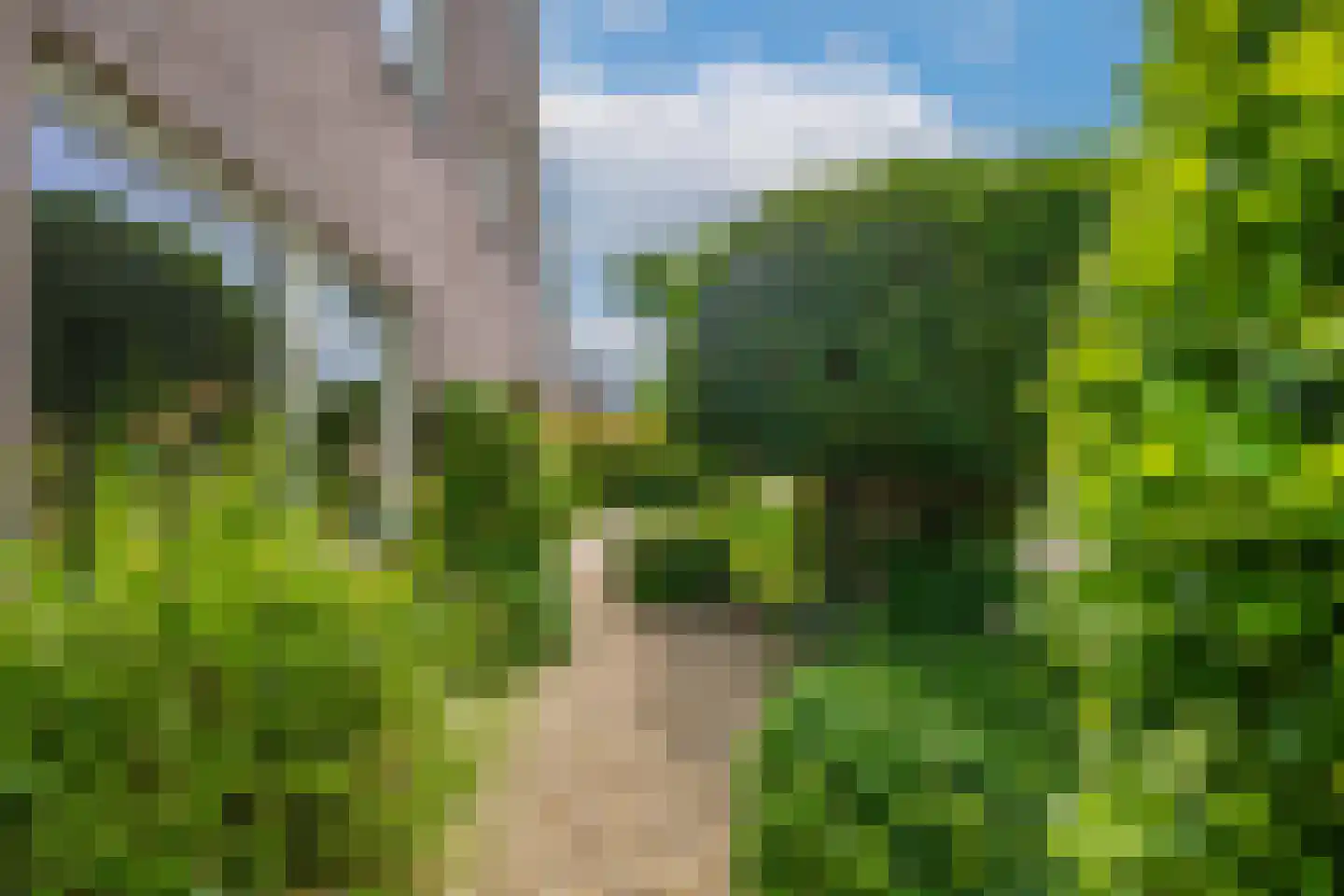 Betuwe Singel 28 Lienden thumbnail 10