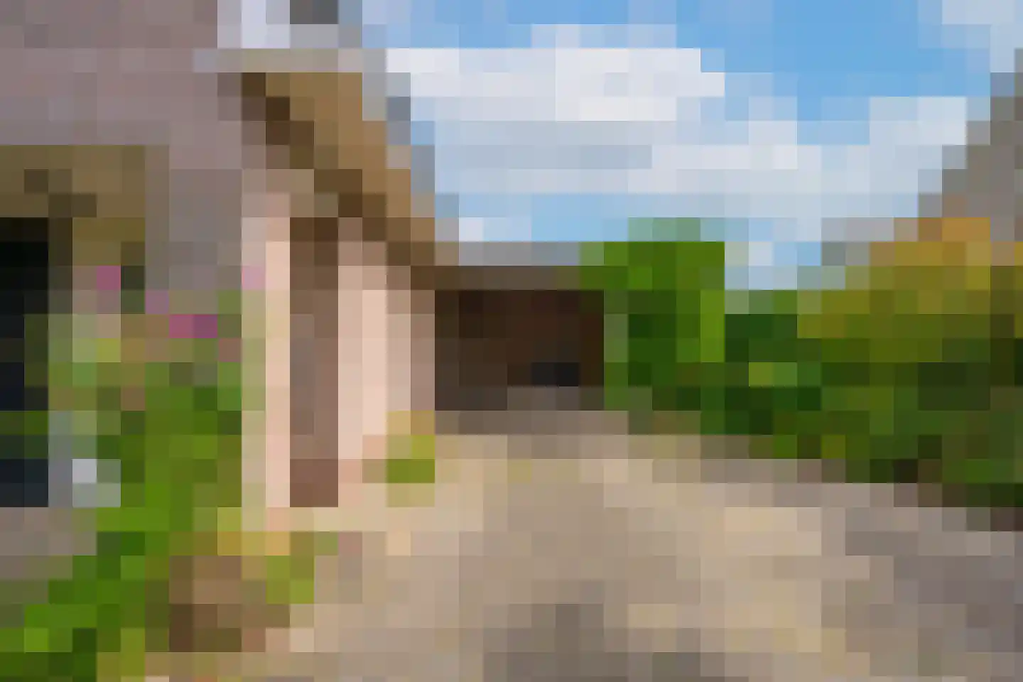 Betuwe Singel 28 Lienden thumbnail 12