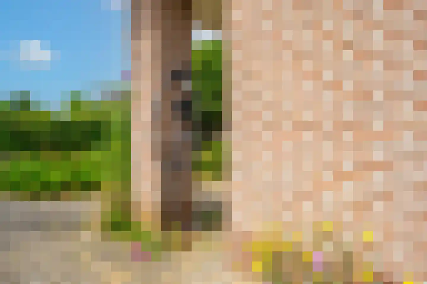 Betuwe Singel 28 Lienden thumbnail 14