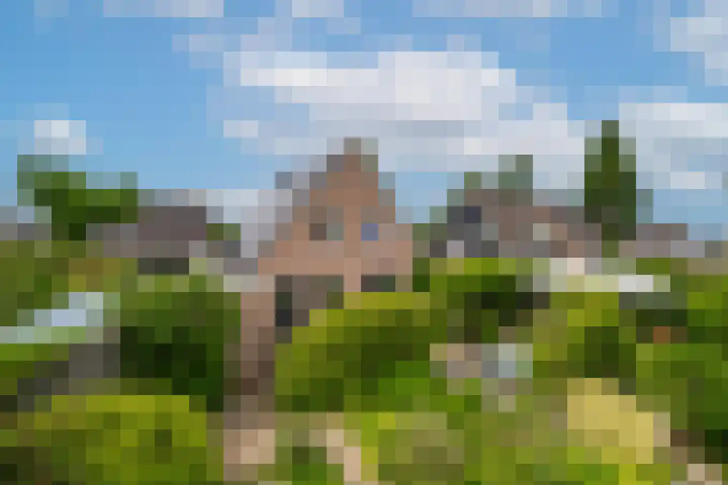 Betuwe Singel 28 Lienden foto 2