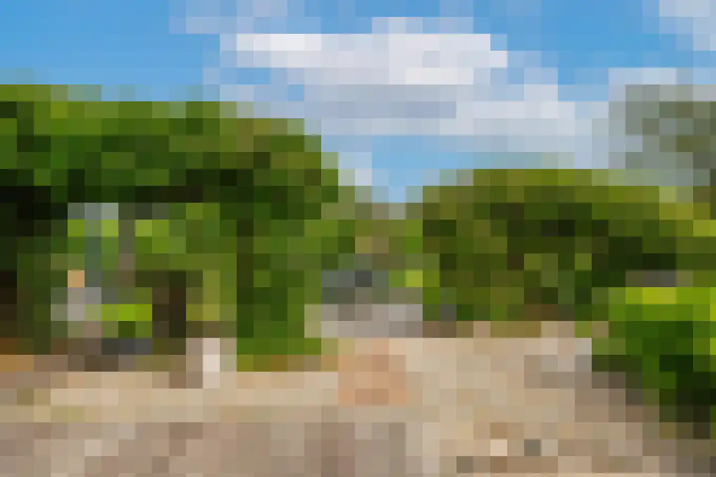 Betuwe Singel 28 Lienden thumbnail 38
