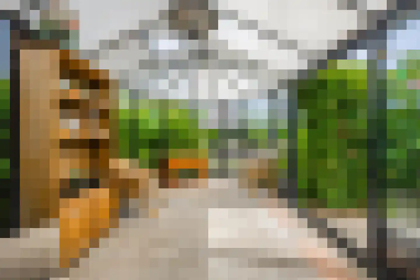 Betuwe Singel 28 Lienden thumbnail 44