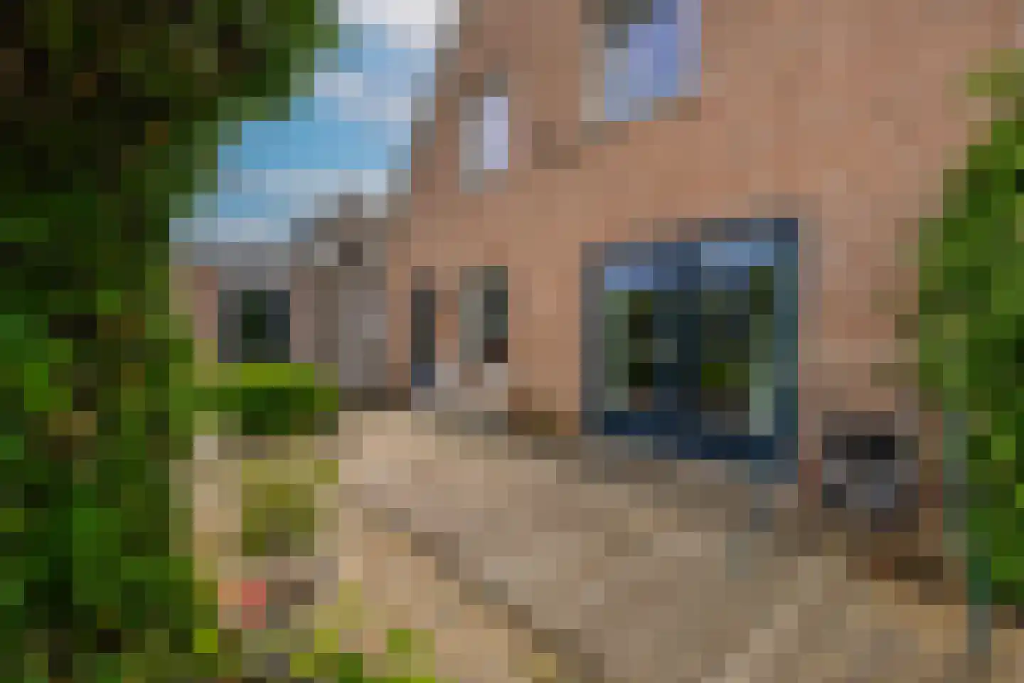 Betuwe Singel 28 Lienden thumbnail 47