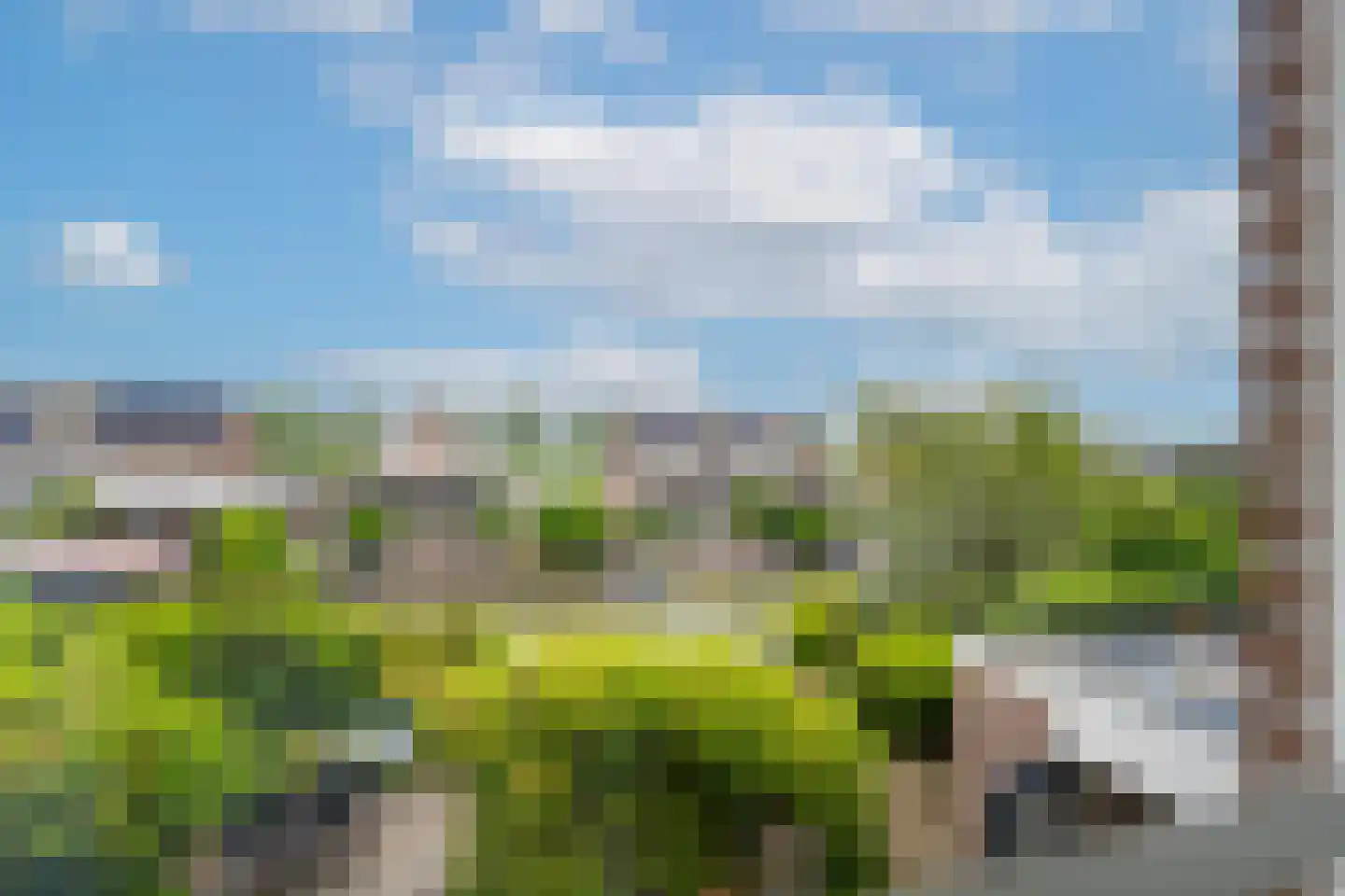 Betuwe Singel 28 Lienden thumbnail 51