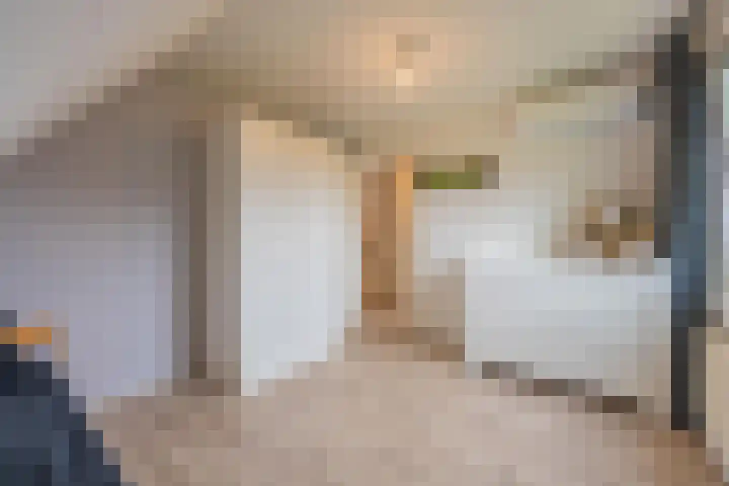 Betuwe Singel 28 Lienden thumbnail 57