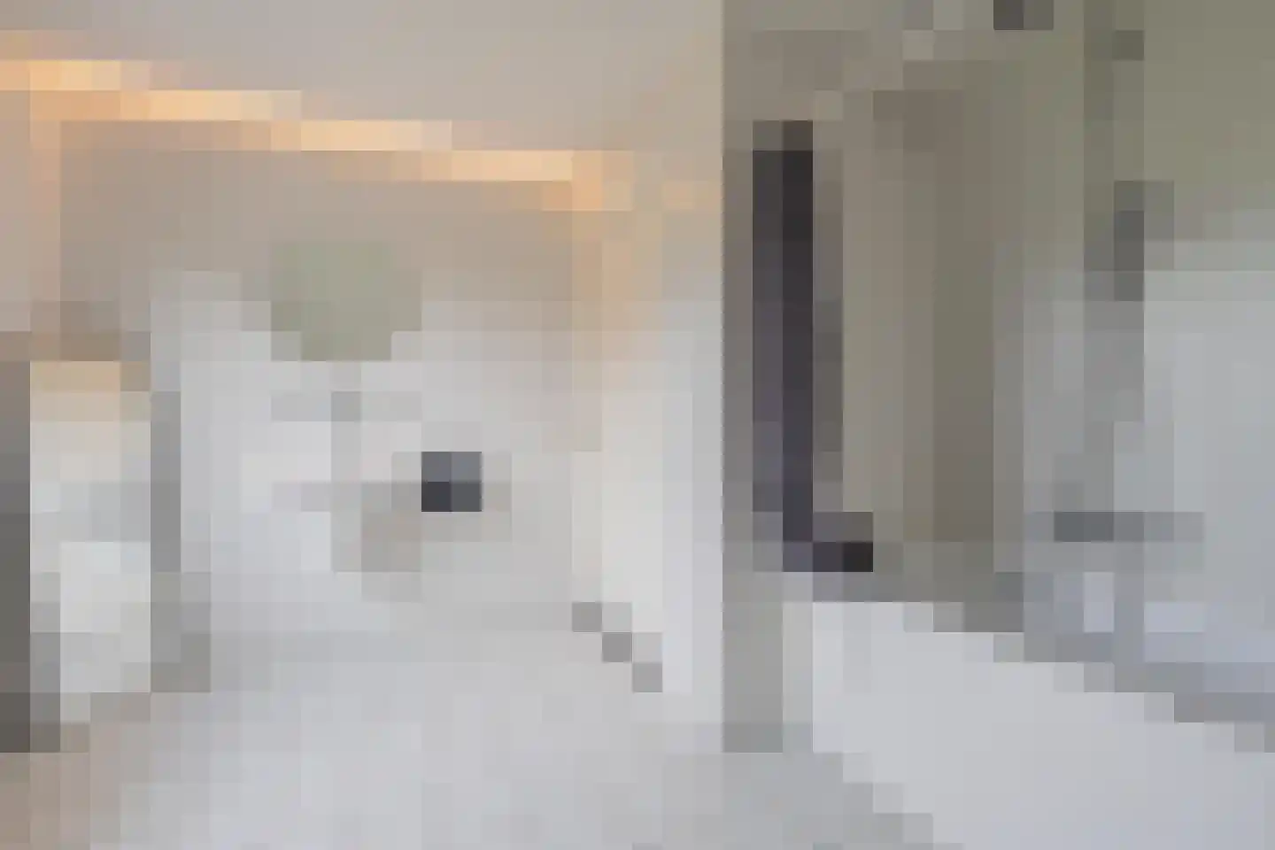 Betuwe Singel 28 Lienden thumbnail 59