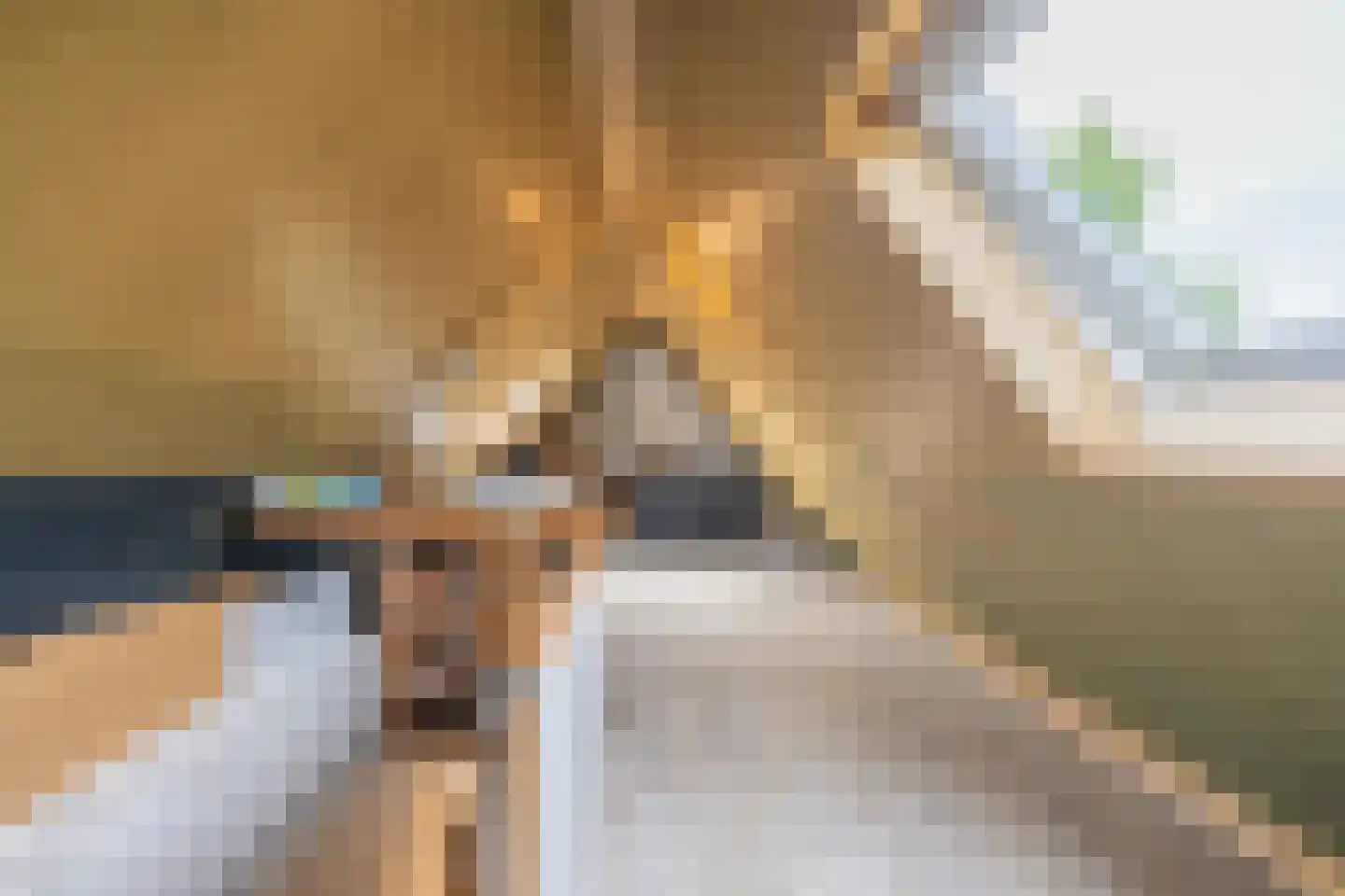 Betuwe Singel 28 Lienden thumbnail 61