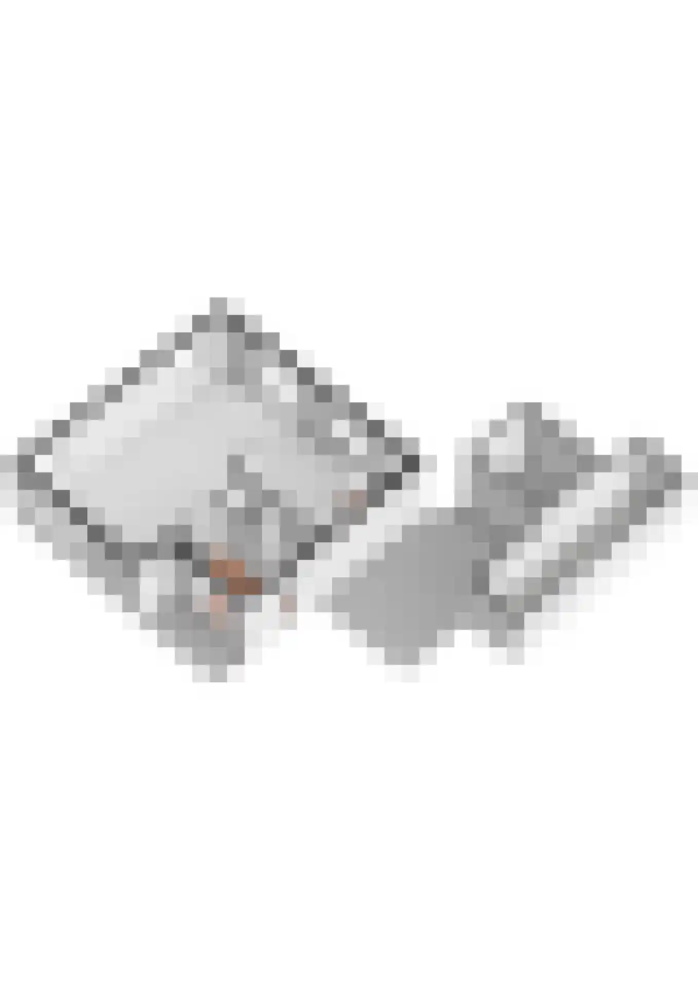 Betuwe Singel 28 Lienden thumbnail 64