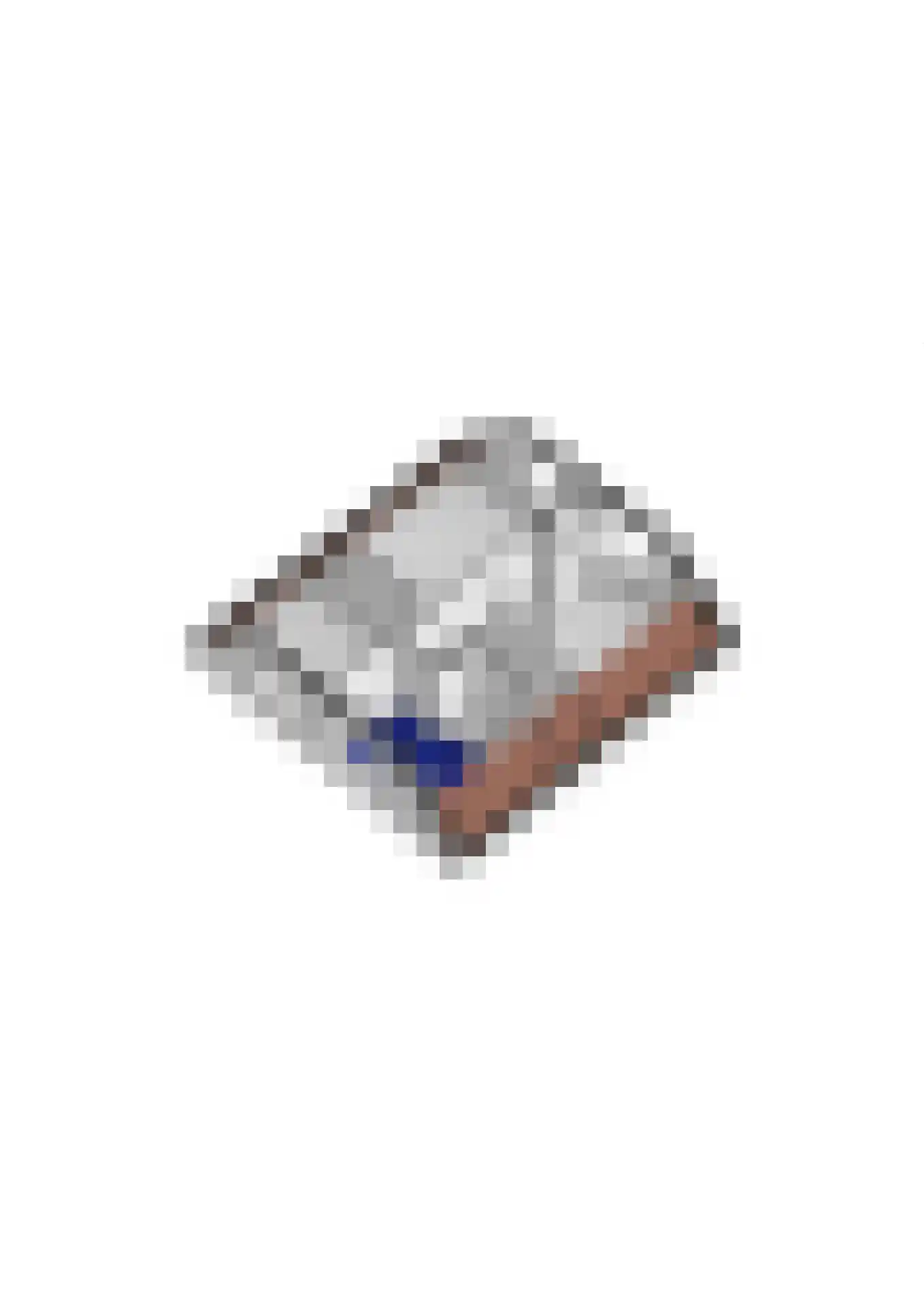 Betuwe Singel 28 Lienden thumbnail 66