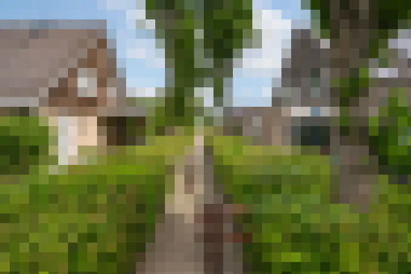 Betuwe Singel 28 Lienden thumbnail 7