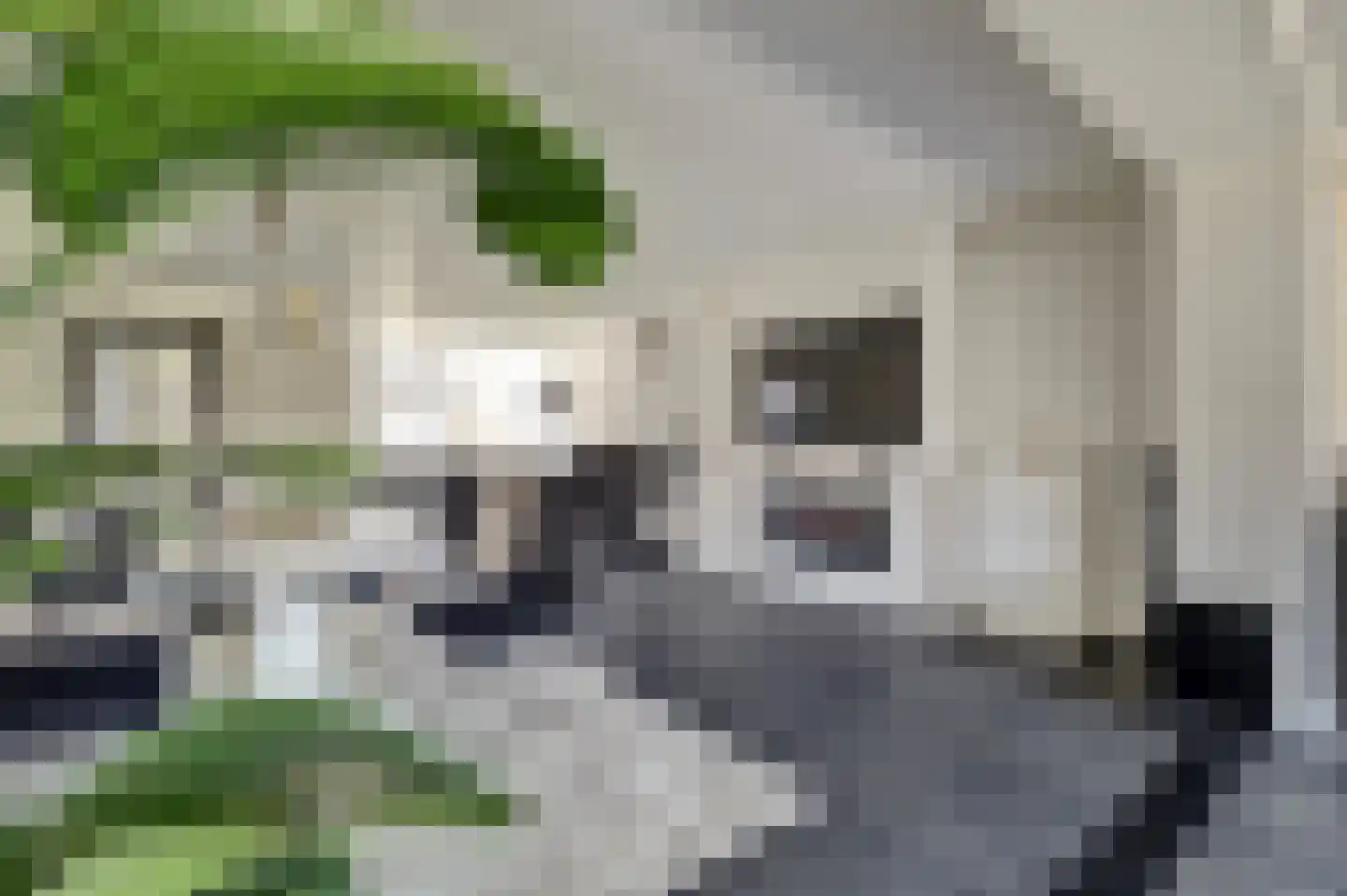 Betuwe Singel 4 Lienden thumbnail 13